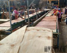 林世界建筑模板生產車間